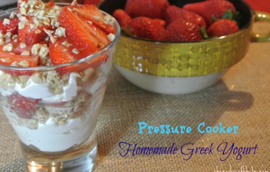Pressure Cooker Greek Yogurt